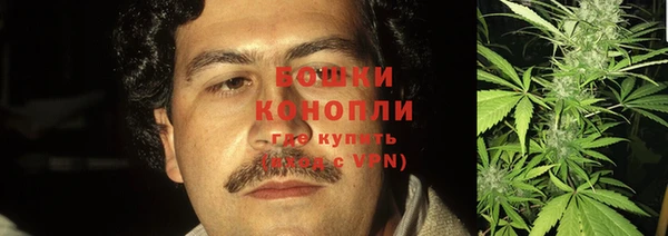 индика Шарыпово