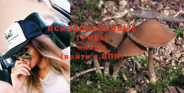 индика Шарыпово
