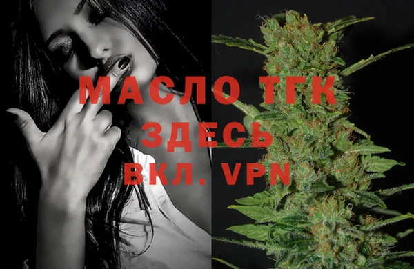 индика Шарыпово