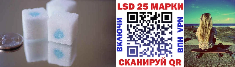 дарнет шоп  Волгодонск  ЛСД экстази кислота 