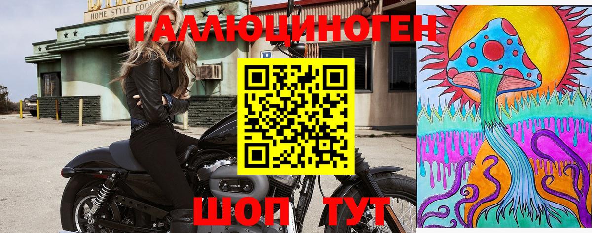 Галлюциногенные грибы GOLDEN TEACHER  Волгодонск 