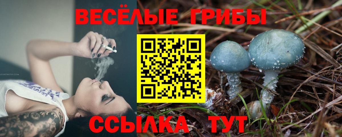 Псилоцибиновые грибы GOLDEN TEACHER Волгодонск