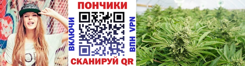 Бошки Шишки THC 21%  магазин  наркотиков  мега как войти  Волгодонск 
