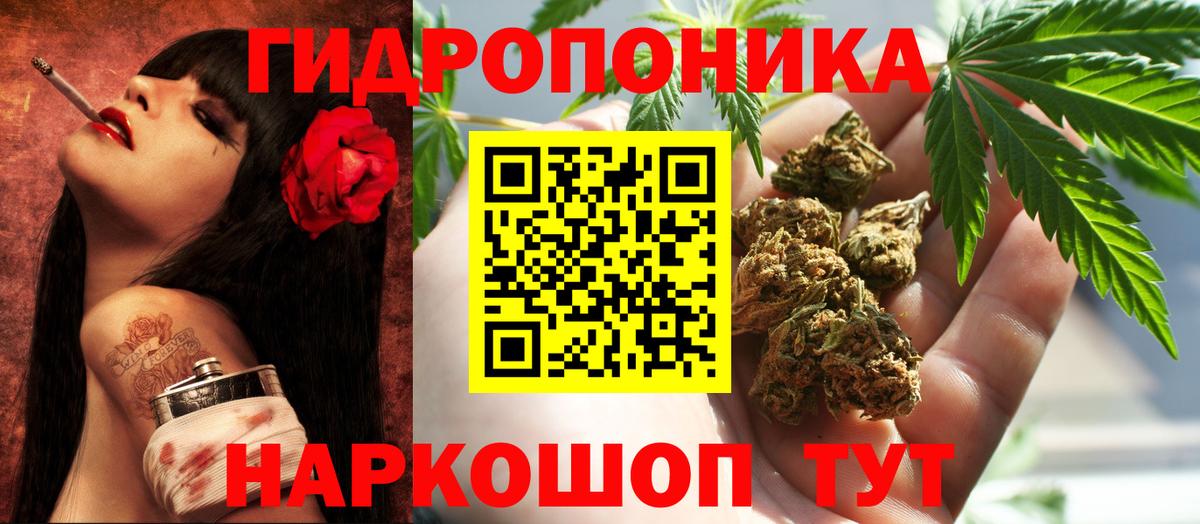 Конопля сатива  МАРИХУАНА конопля  Каннабис планчик  Волгодонск  Вход с VPN  Конопля план 